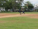 cricket-tournament-2014-SIBT (16)