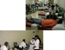 Blood-Donation-SIBT (10)