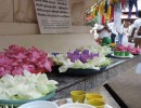 SIBT-Bodhipooja-CSR (5)