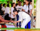 SIBT-bodhi-pooja-2018-csr (14)