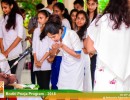 SIBT-bodhi-pooja-2018-csr (15)