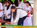 SIBT-bodhi-pooja-2018-csr (16)